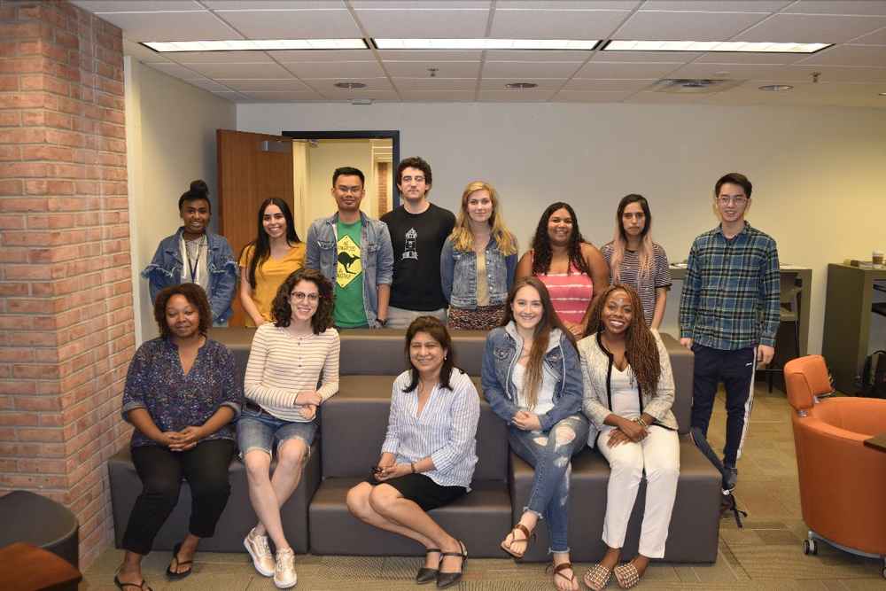 2019 Summer Institute in Survey Research Techniques Diversity Fellowship
